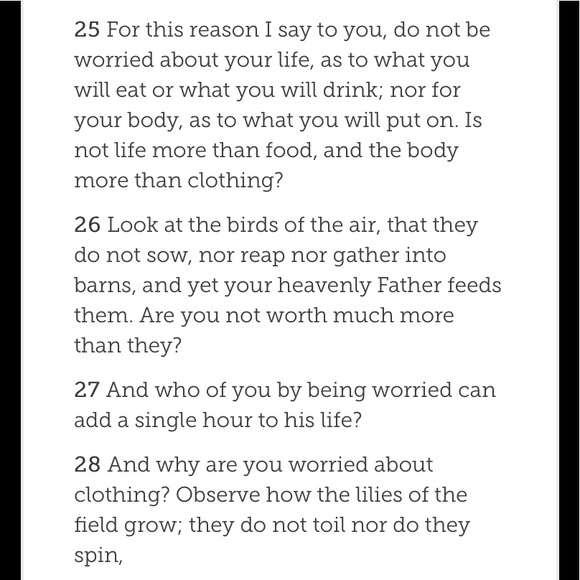 Peace Love - Picture 4 of 6